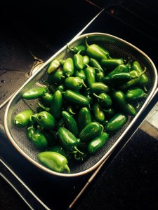 Peppers ready for canning.