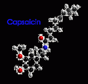 capsaicin